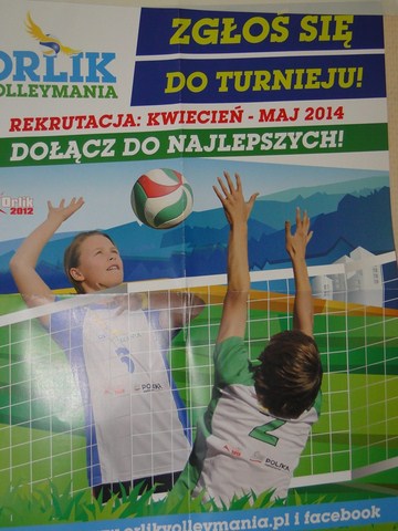 Volleymania